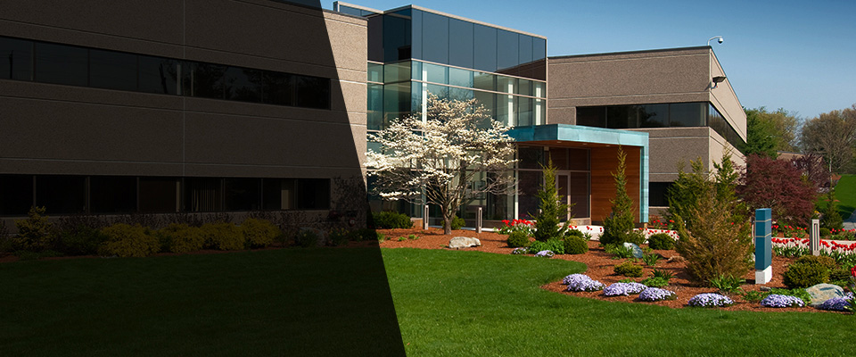 Clifton Heights Landscapers