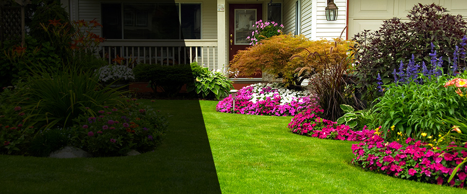 Clifton Heights Landscapers