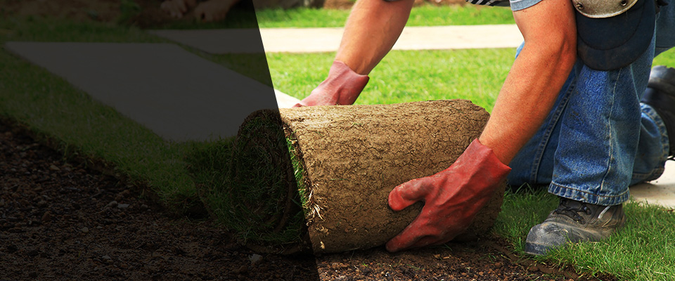 Clifton Heights Landscapers